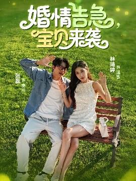 婚情告急，宝贝来袭